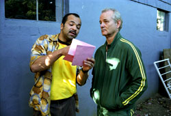 Jeffrey Wright e Bill Murray in Broken Flowers