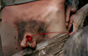 Un'inquadratura di Cannibal Holocaust