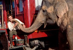 Robert Pattinson e Rosie in Come l'acqua per gli elefanti