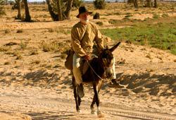 Michele Placido in Le rose del deserto