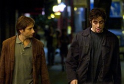 David Duchovny e Halle Berry e Benicio del Toro in Noi due sconosciuti