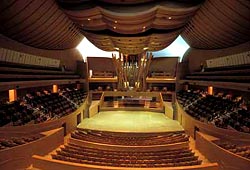 L'interno della Walt Disney Concert Hall