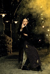 Zhang Ziyi