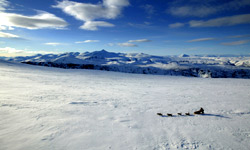 Una scena di Il Grande Nord