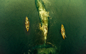 Una scena di Heart of the Sea - Le origini di Moby Dick