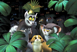 Una scena di Madagascar