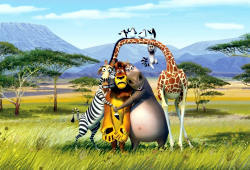 Una scena di Madagascar 2