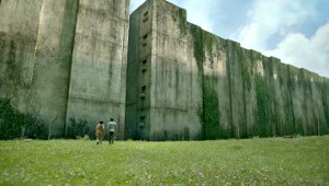 Una scena di Maze Runner - Il labirinto