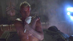 Rutger Hauer in Blade Runner