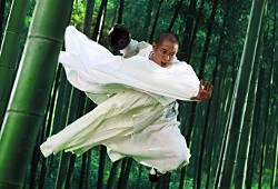 Jet Li in The Sorcerer and the White Snake