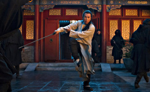 Donnie Yen in Crouching Tiger, Hidden Dragon: Sword of Destiny