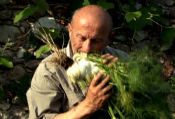 Una scena di Terra Madre