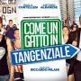 Come un gatto in tangenziale