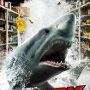 Shark 3D