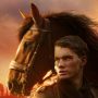 War Horse